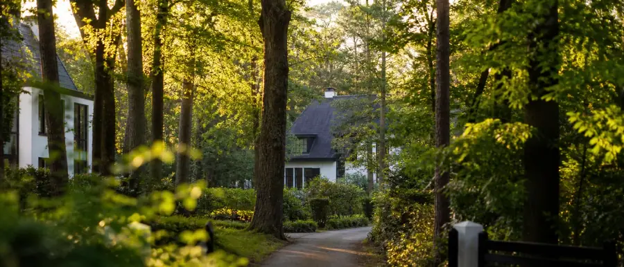 Villawijk tussen volgroeide beuken en dennen, met een bochtige laan en daken half verscholen achter het groen